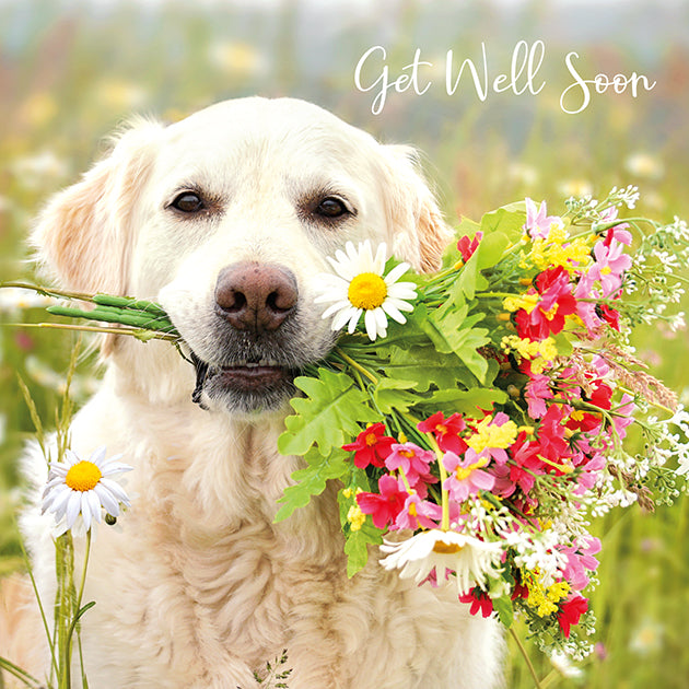 Dog and Flowers Get Well Soon Greeting Card