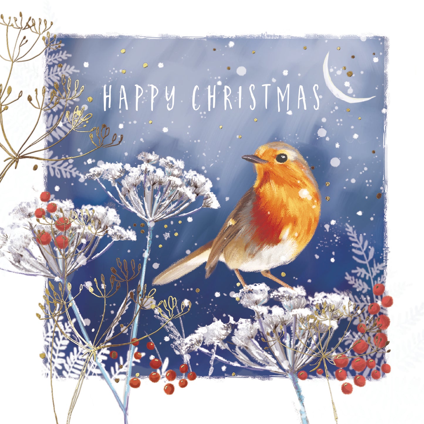 St Ann's Hospice 'Robin in Moonlight' Pack of 10 Charity Christmas Greetings Cards