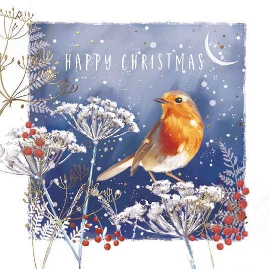 St Ann's Hospice 'Robin in Moonlight' Pack of 10 Charity Christmas Greetings Cards
