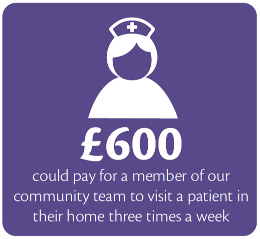 Virtual Gift - Community Team Visit - £600