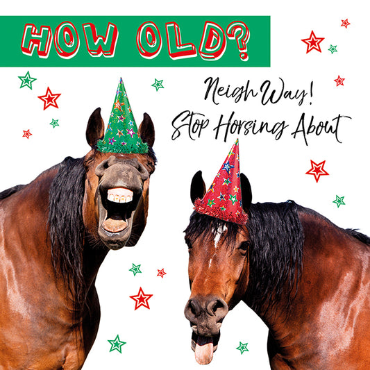 'Horsing About' Novelty Comic Birthday Greeting Card