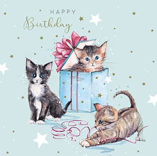 Kittens Gift Birthday Greeting Card