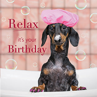 Comical Dog Bath Birthday Card