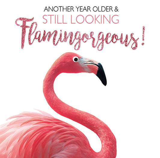 Still Flamingorgeous Birthday Greeting Card