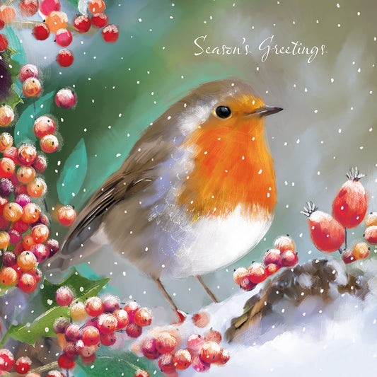 St Ann's Hospice 'Robin in the Snow' Pack of 10 Charity Christmas Greetings Cards