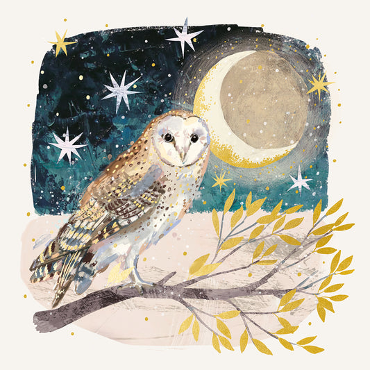 St Ann's Hospice 'Moonlit Owl' Pack of 10 Charity Christmas Greetings Cards