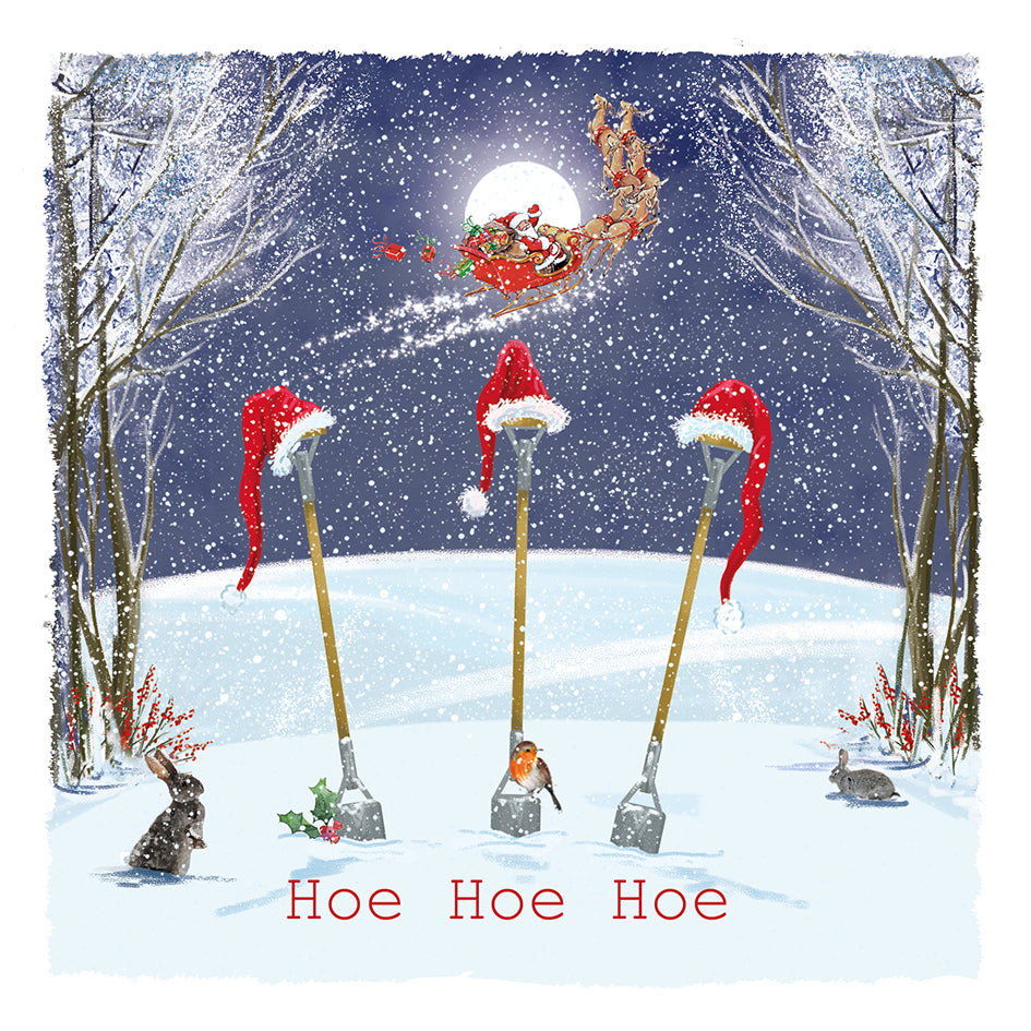 St Ann's Hospice 'Hoe Hoe Hoe' Pack of 10 Charity Christmas Greetings Cards