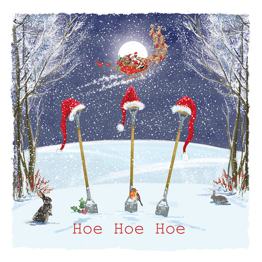 St Ann's Hospice 'Hoe Hoe Hoe' Pack of 10 Charity Christmas Greetings Cards