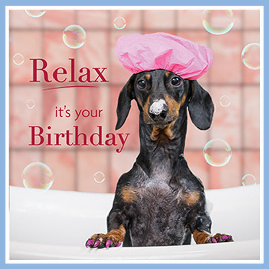 Comical Dog Bath Birthday Card