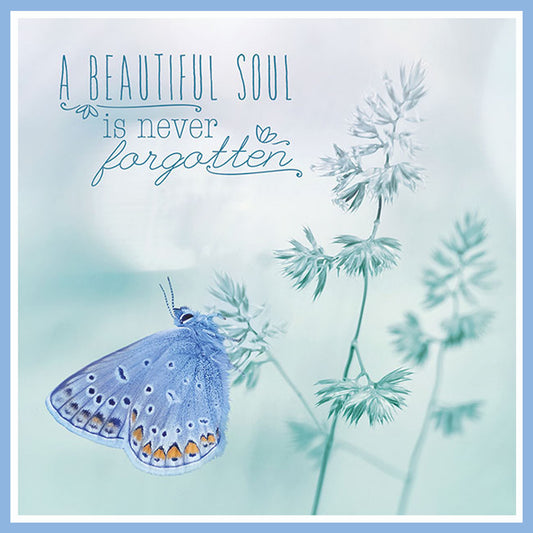 Beautiful Soul Butterfly Sympathy Card
